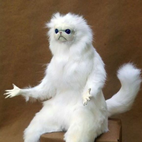 Meet your Posher, Caden - Picture 1 of 1